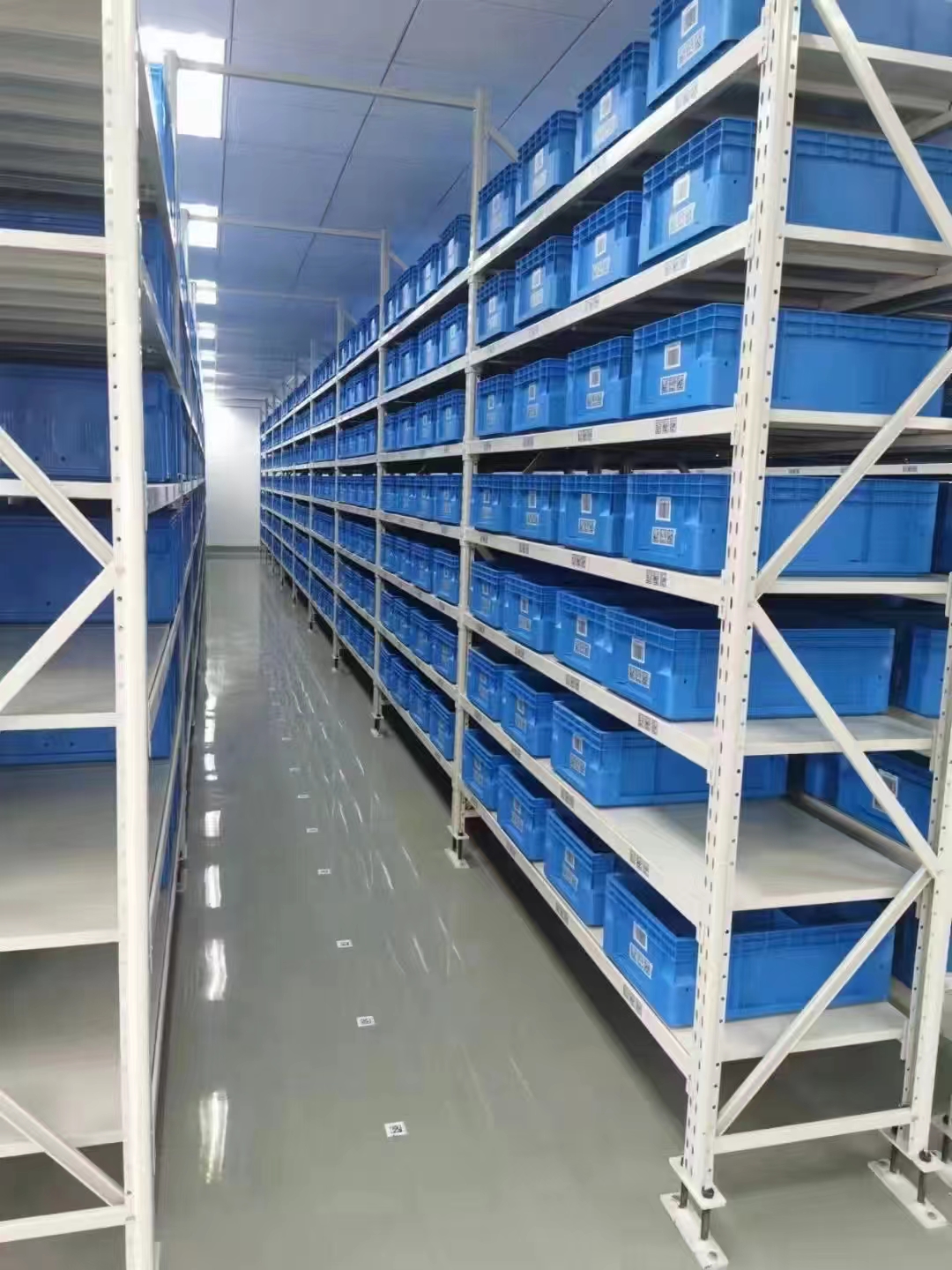 一级特黄AAA大片在线观看