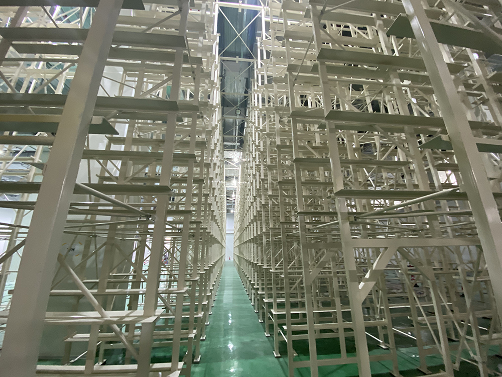 一级特黄AAA大片在线观看