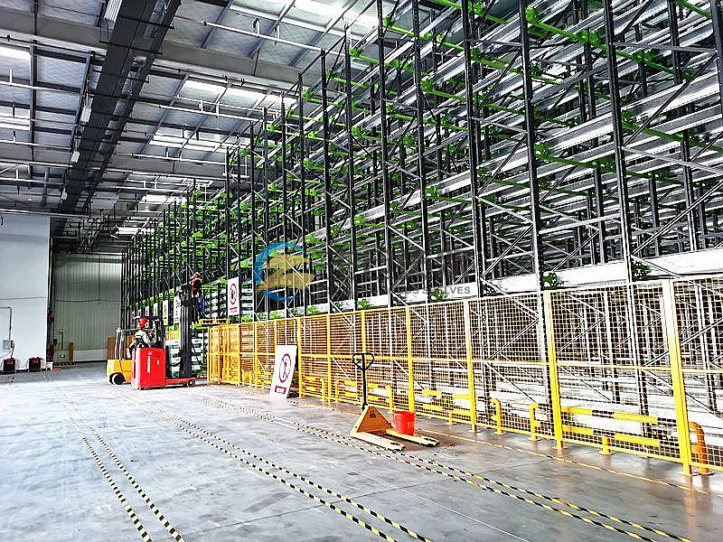 一级特黄AAA大片在线观看