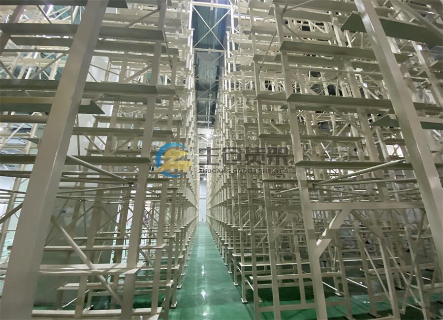 一级特黄AAA大片在线观看