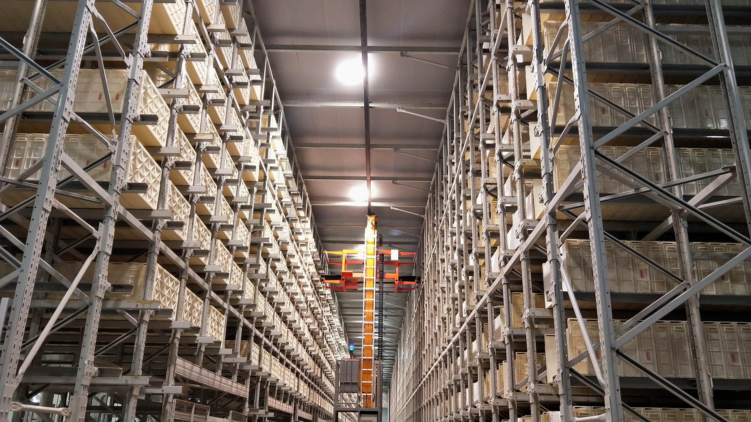 一级特黄AAA大片在线观看