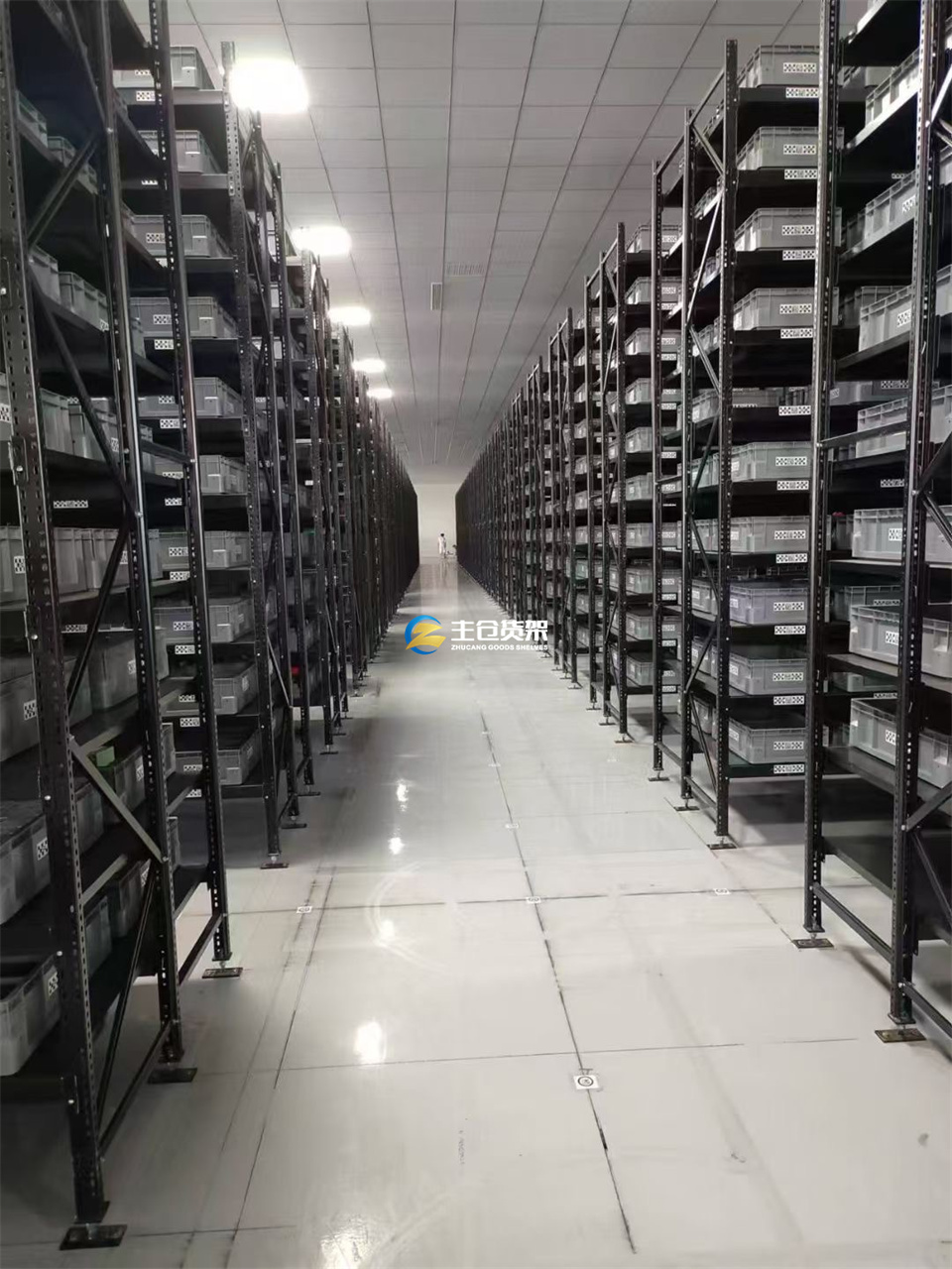 一级特黄AAA大片在线观看